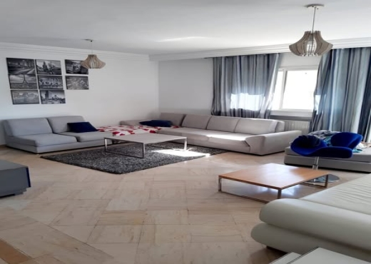 un appartement s+3