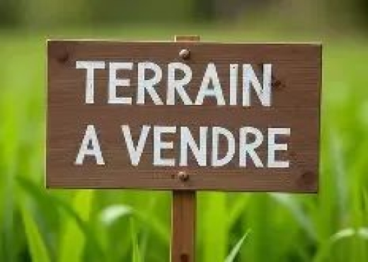 A Vendre Terrain à El Ghazella - Bien immobilier à {"id":1,"country_id":219,"name":"ARIANA","slug":"ariana"} - Agence Immobilière immo\'in